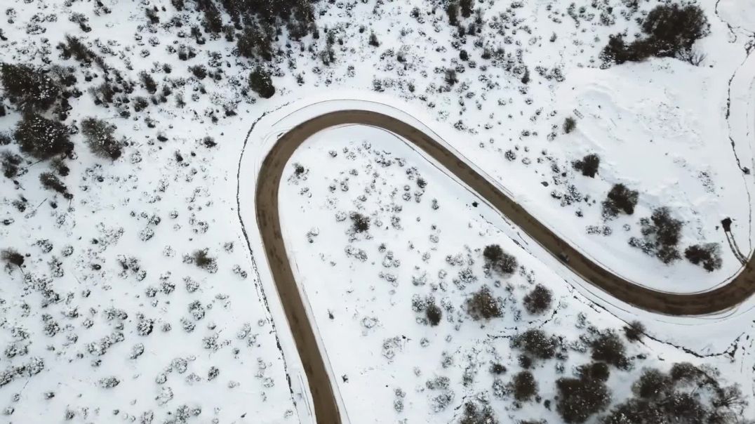 Curvy road in a snow-covered forest